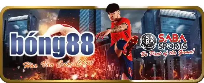 Kèo Meron - Gà của nhà cái